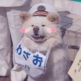 我不是地瓜