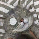 西南偏南是理想