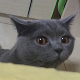 _浮在狂热下