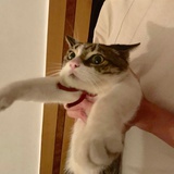 小眼睛妹_