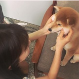 蒋真