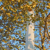 san
