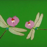 HANA-BI