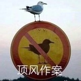 有趣的事增加了