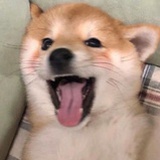 麵包怪獸