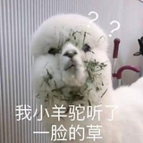 发大财