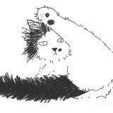 叩盏衔霜V