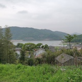 伏晓