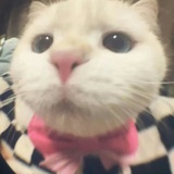 ??