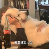 啊叽啊唑
