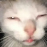 我冷汗下来了