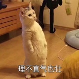 大王下山打猴子