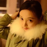 苍梧君