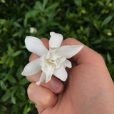 张慕童