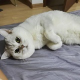 豆豆豆豆