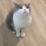 秀宝