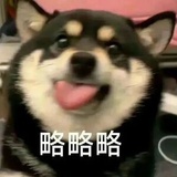 东邪西毒