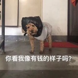 A你🐴A