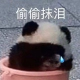 醒醒吧