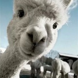 Arthur