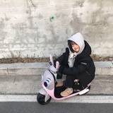 胡同里的猫