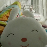 Tony小白兔