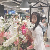 灰木原