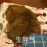 千万少男的梦想