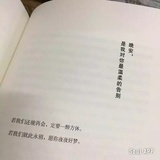 大脸猫