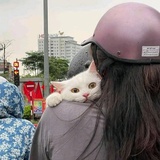 白日梦想家
