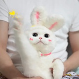 梨子
