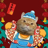猫毛毛阿