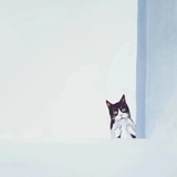 andy
