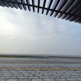 斯嘉丽