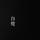 白鹭