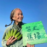 贾美丽