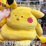 猪圈儿