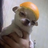 萝北环路