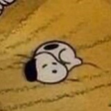 叶杉