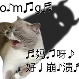 盐味光光