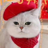 呀哈哈！