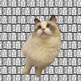 韶华光阴远
