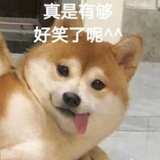 娄群