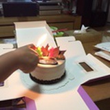 鱼的记忆