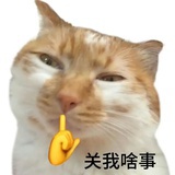 汤水蛋花汤