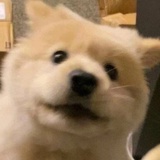 蒲地蓝
