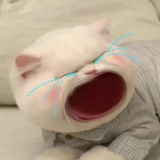 shumas