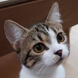 小满小满月