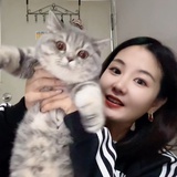 _ 茉莉不是花.