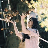 木贼